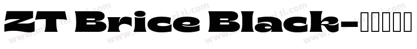 ZT Brice Black字体转换